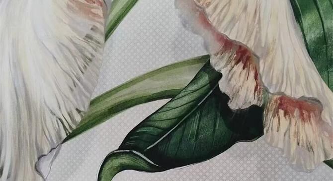 美輪美奐！2024博洛尼亞陶瓷展100張美圖…